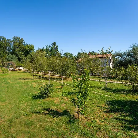 Franjo-2 By Interhome Prázdninový dům Ika