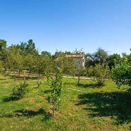 Franjo-2 By Interhome